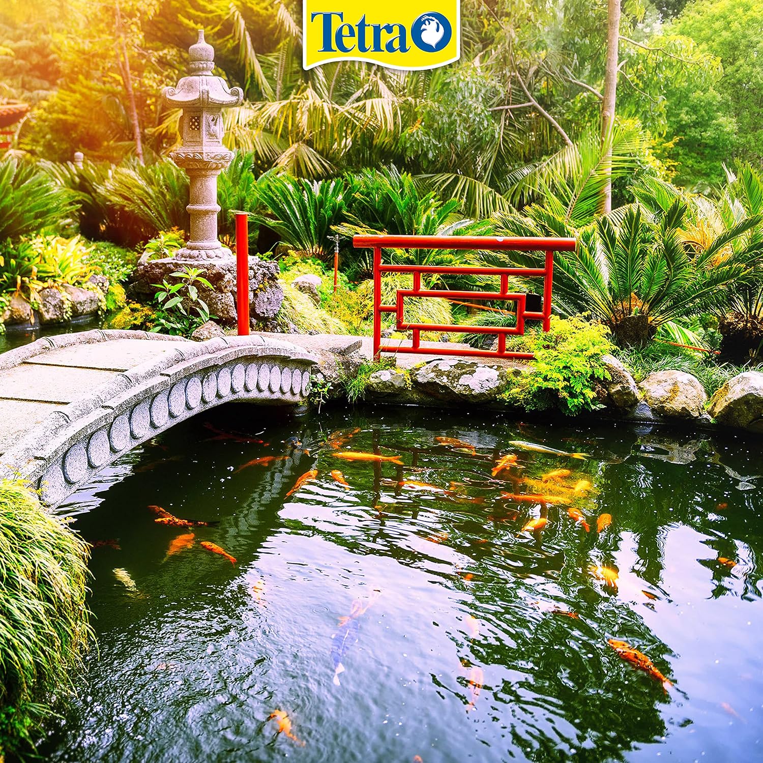 TETRA Pond Algofin — Anti-algues pour bassin 500 ml – Image 41