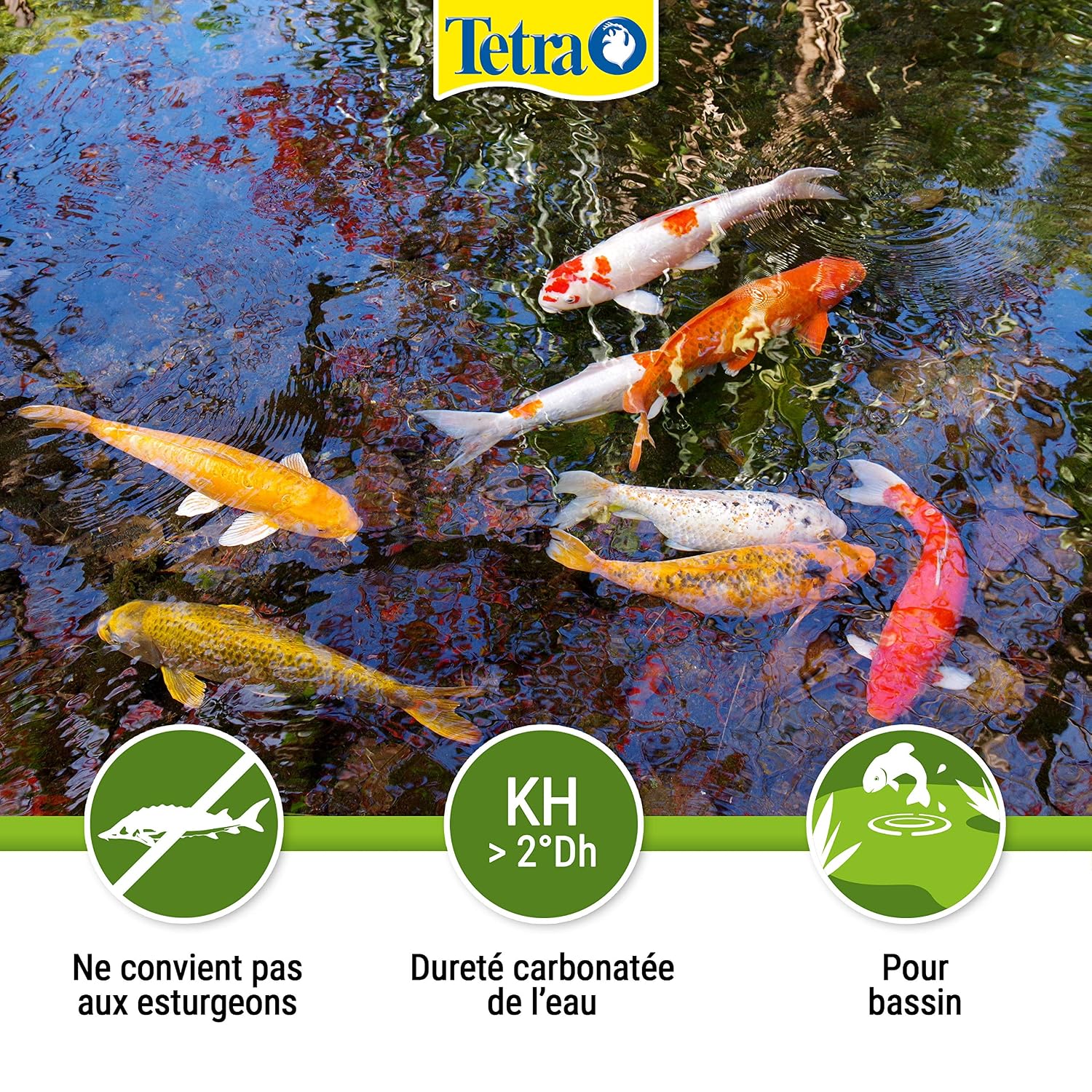 TETRA Pond AlgoRem — Traitement anti-algues bassin 500 ml – Image 15