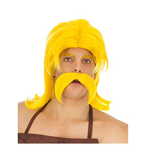 CHAKS — Perruque et barbe Cétautomatix Astérix et Obélix