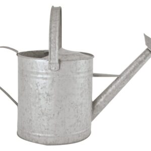 FALLEN FRUITS — Arrosoir en zinc vieilli 3,5 L