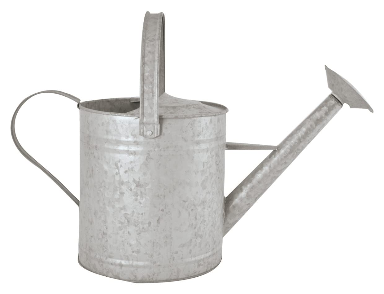 FALLEN FRUITS — Arrosoir 3,5 L en zinc vieilli