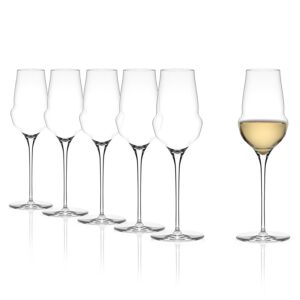 STÖLZLE LAUSITZ Cocoon — Lot de 6 verres à champagne 340 ml