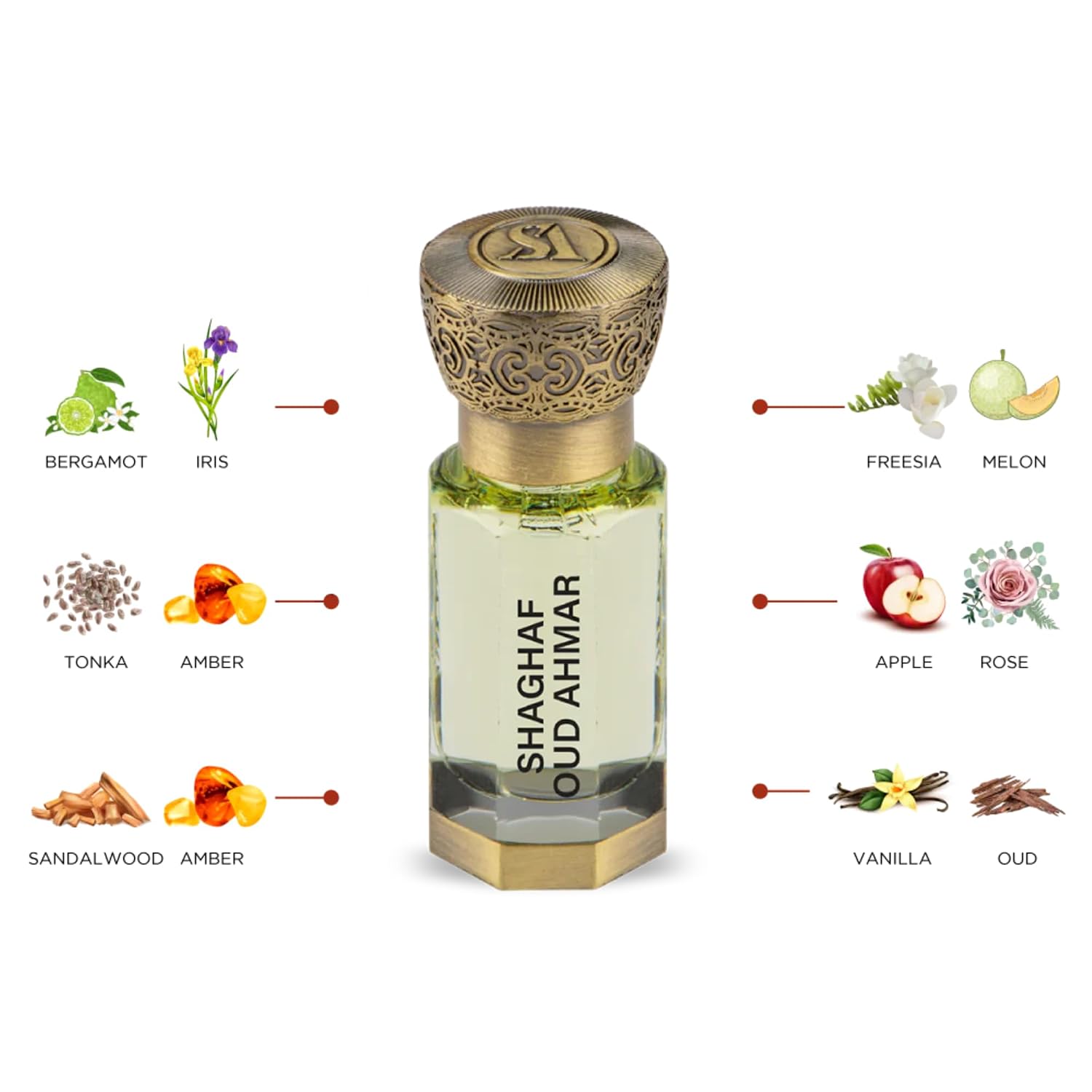 SWISS ARABIAN Shaghaf Oud Ahmar — Huile de parfum 12 ml – Image 3