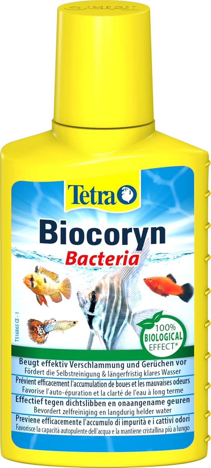 TETRA Biocoryn — Traitement de l’eau pour aquarium 100 ml
