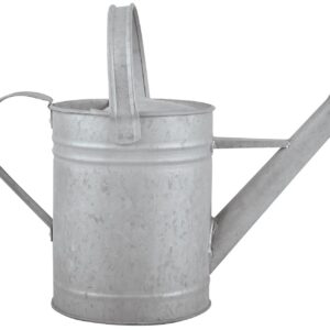 FALLEN FRUITS — Arrosoir en vieux zinc 1,5 L