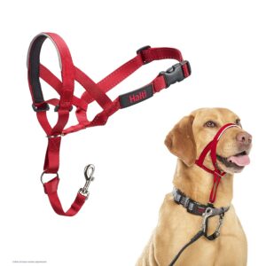 HALTI — Licol pour chien taille 3 rouge