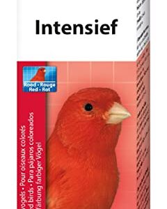 Beaphar — Colorant rouge intensif pour canaris 10 g