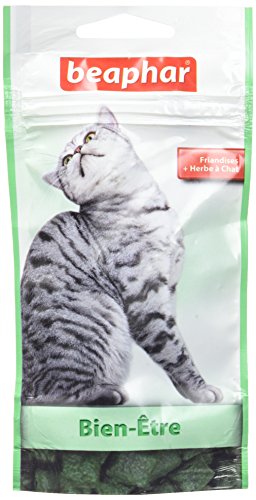 BEAPHAR — Friandises bien-être à l’herbe à chat 35 g