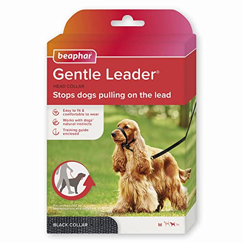 BEAPHAR Gentle Leader — Collier de dressage chien moyen
