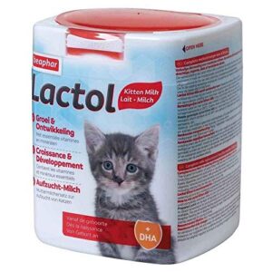 BEAPHAR LACTOL — Lait maternisé chaton en poudre 500 g