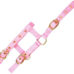 EKKIA — Licol nylon réglable mini foal rose