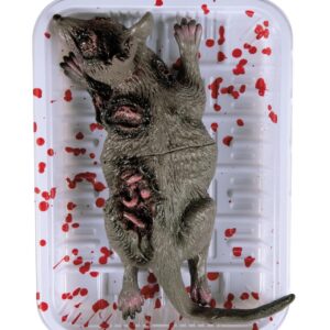 P'tit Clown — Barquette rat en décomposition