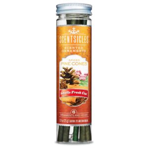 Lot de 6 flacons parfumés — pomme de pin épicée