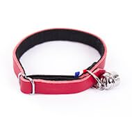 MARTIN — Collier en cuir et feutrine pour chat