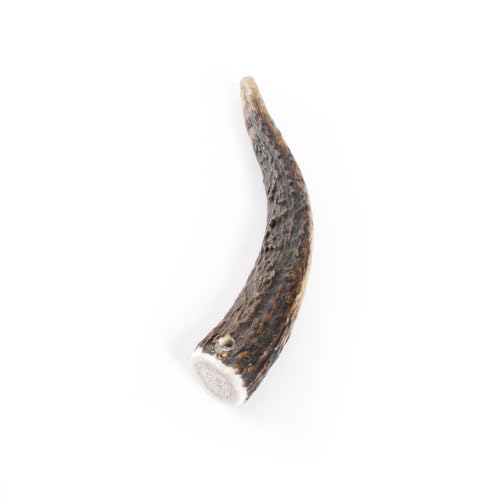 MARTIN — Bois de cerf entier M 60-80 g