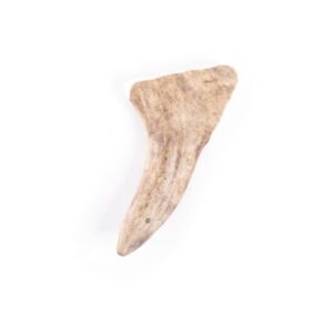 MARTIN — Bois de daim M 55-100 g