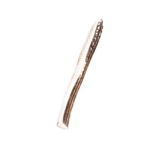 MARTIN — Demi bois de cerf biseauté M 60-80 g