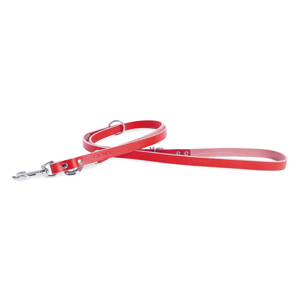 MARTIN 499 — Laisse multiposition en cuir