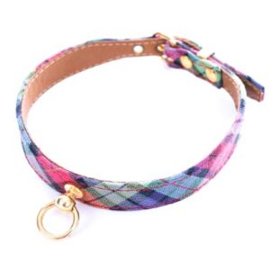 MARTIN Benton — Collier en nylon pour terrier vert 30 cm