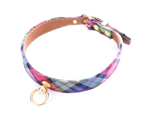 MARTIN Benton — Collier en nylon pour terrier vert 30 cm