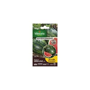 Vilmorin — Sachet de graines Pastèque Mini Love HF1