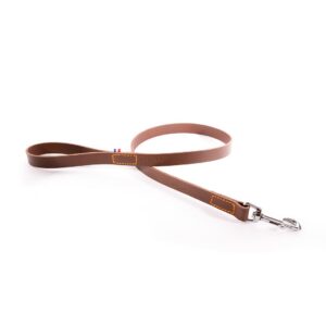 MARTIN 499 Bicolor — Laisse en cuir marron