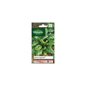 VILMORIN — Sachet de graines d’épinard Lagos HF1
