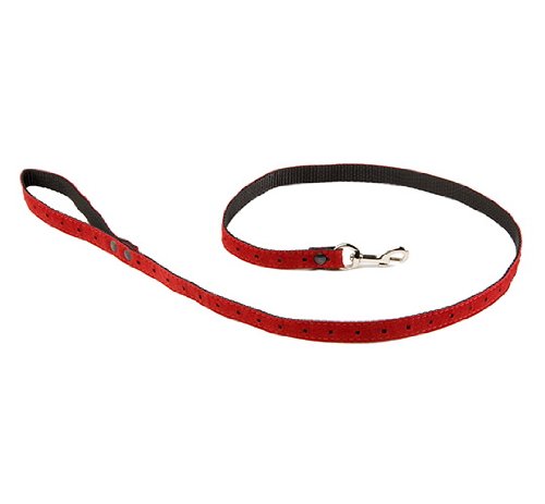 ALTEREGO Leine — Laisse rouge 1 m