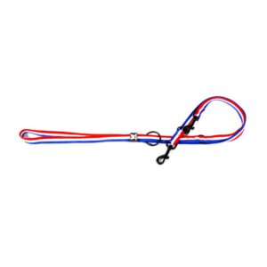 MARTIN — Laisse multiposition en nylon tricolore