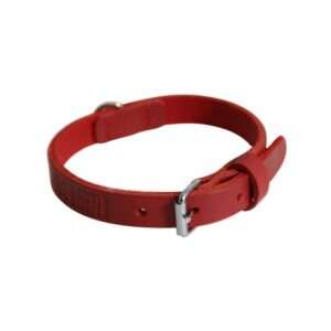martin — Collier pour chien 50 cm rouge