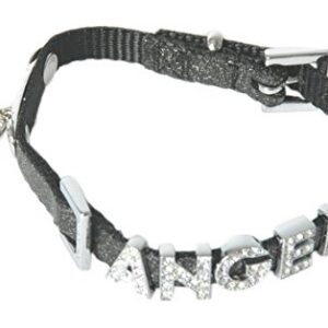 MARTIN Angel Carlain — Collier pour chien 15/40 cm