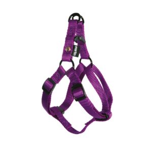 MARTIN — Harnais baudrier classique en nylon pour chien