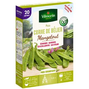 Vilmorin — Graines de pois Corne de Bélier 20 m