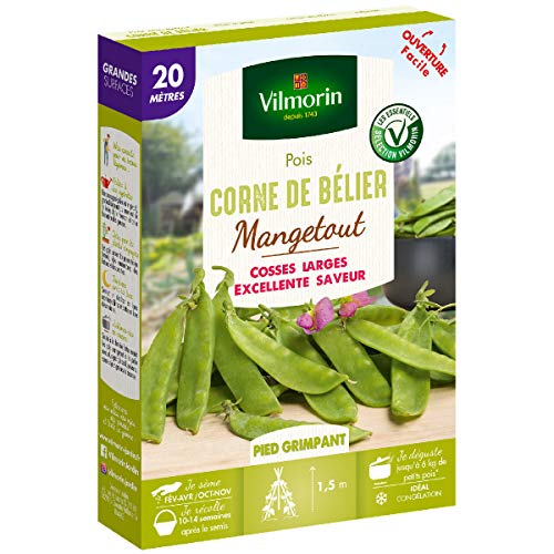 Vilmorin — Graines de pois Corne de Bélier 20 m