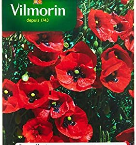 Vilmorin — Coquelicot simple rouge