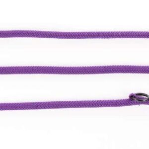 MARTIN — Laisse de dressage multiposition en nylon mauve