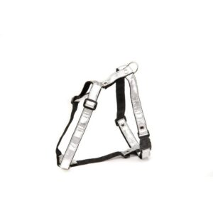 ALTER EGO Disco White — Harnais 10 mm pour chien 25/38 cm