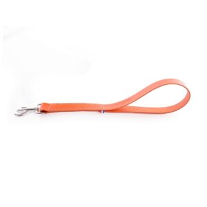 MARTIN 499 Bicolor — Laisse en cuir
