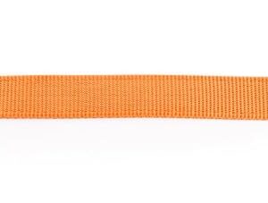 MARTIN — Laisse double épaisseur en nylon orange 60 cm