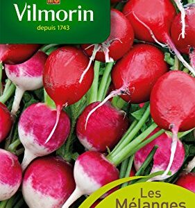 Vilmorin — Pack de graines de radis ronds en mélange Gaudry/Jolly