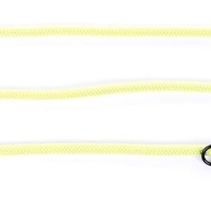 MARTIN — Laisse de dressage multiposition en nylon verte