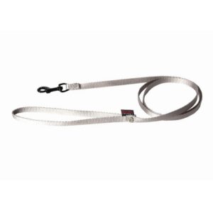 MARTIN — Laisse classique en nylon pour chien grise