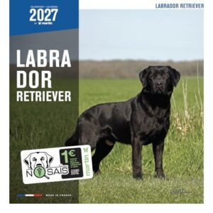 MARTIN — Calendrier Labrador 2027