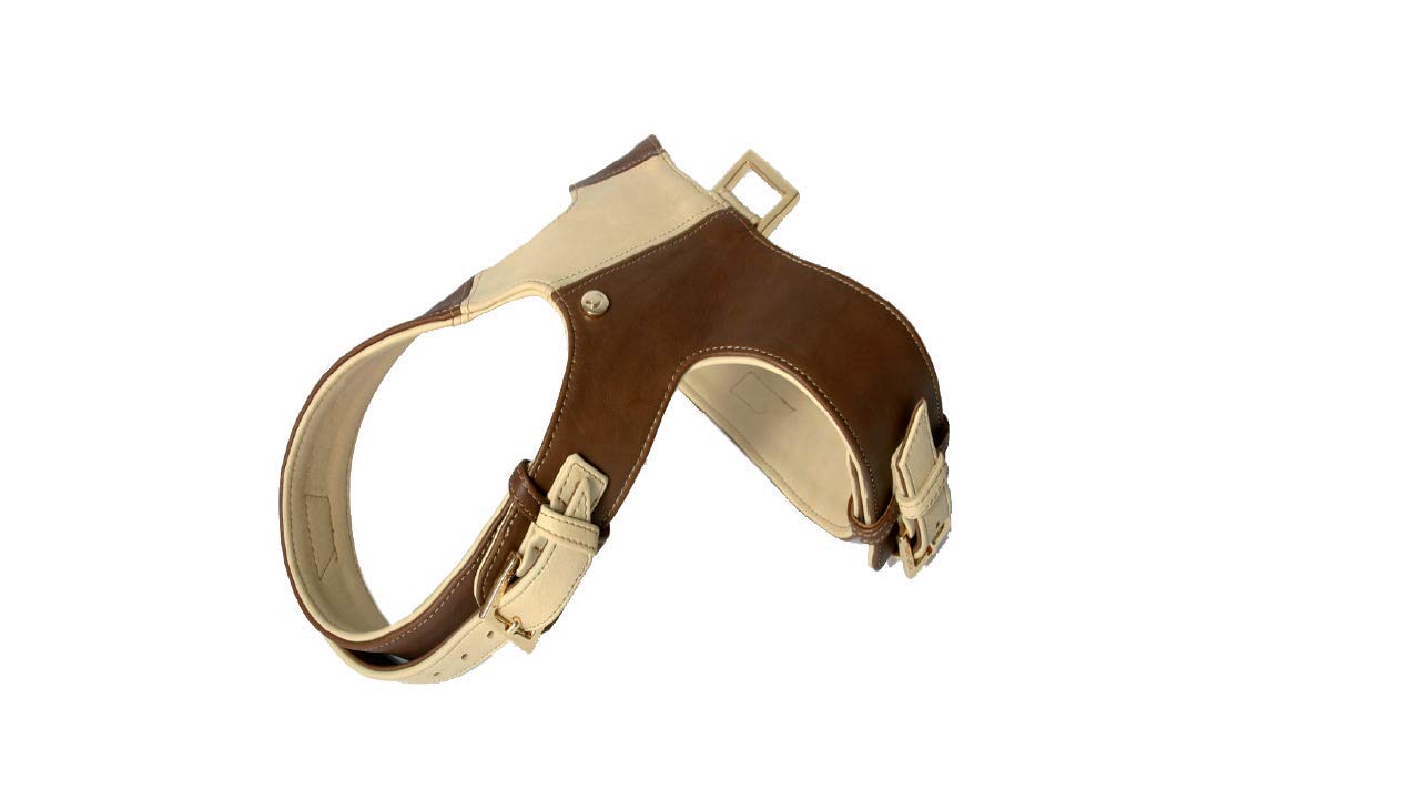 MARTIN SELLIER T4 — Harnais en cuir pour chien café crème