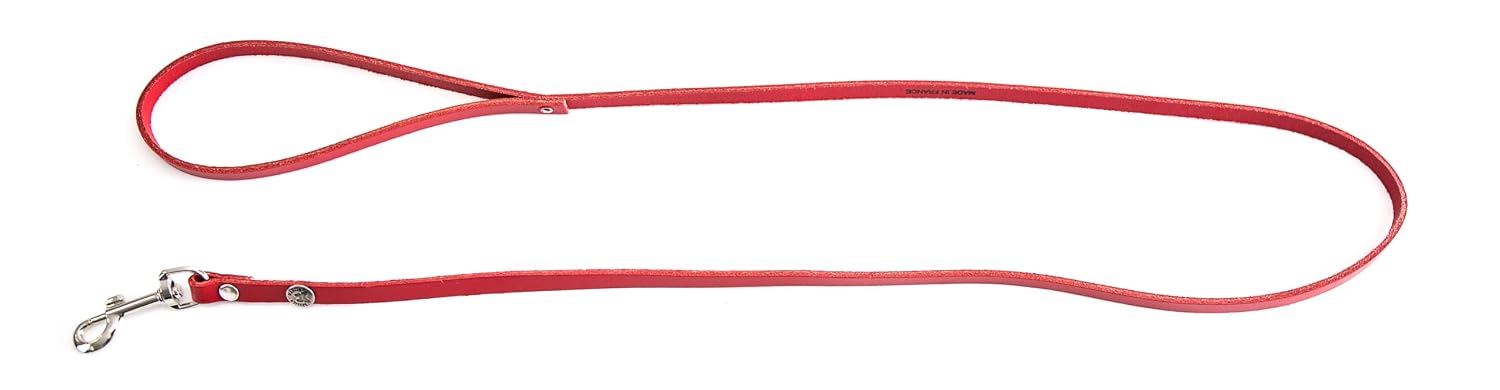 MARTIN — Laisse en cuir coloré classique coupé franc