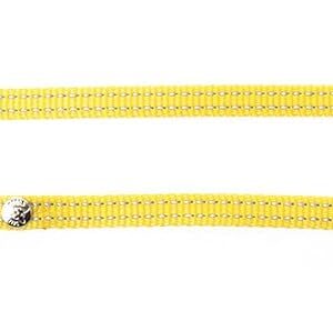 MARTIN — Laisse en nylon pour chat Flash