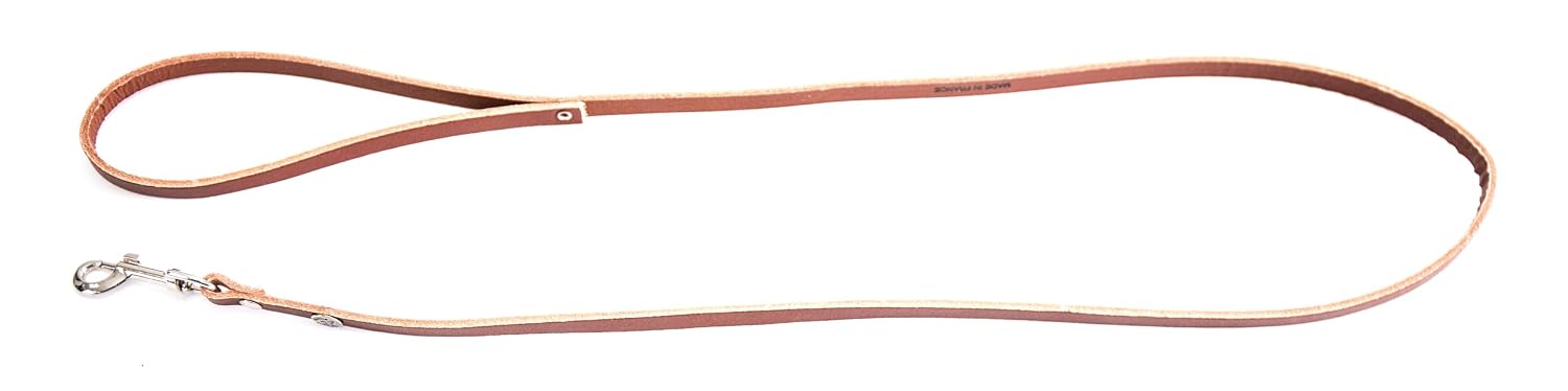 MARTIN — Laisse en cuir coloré classique
