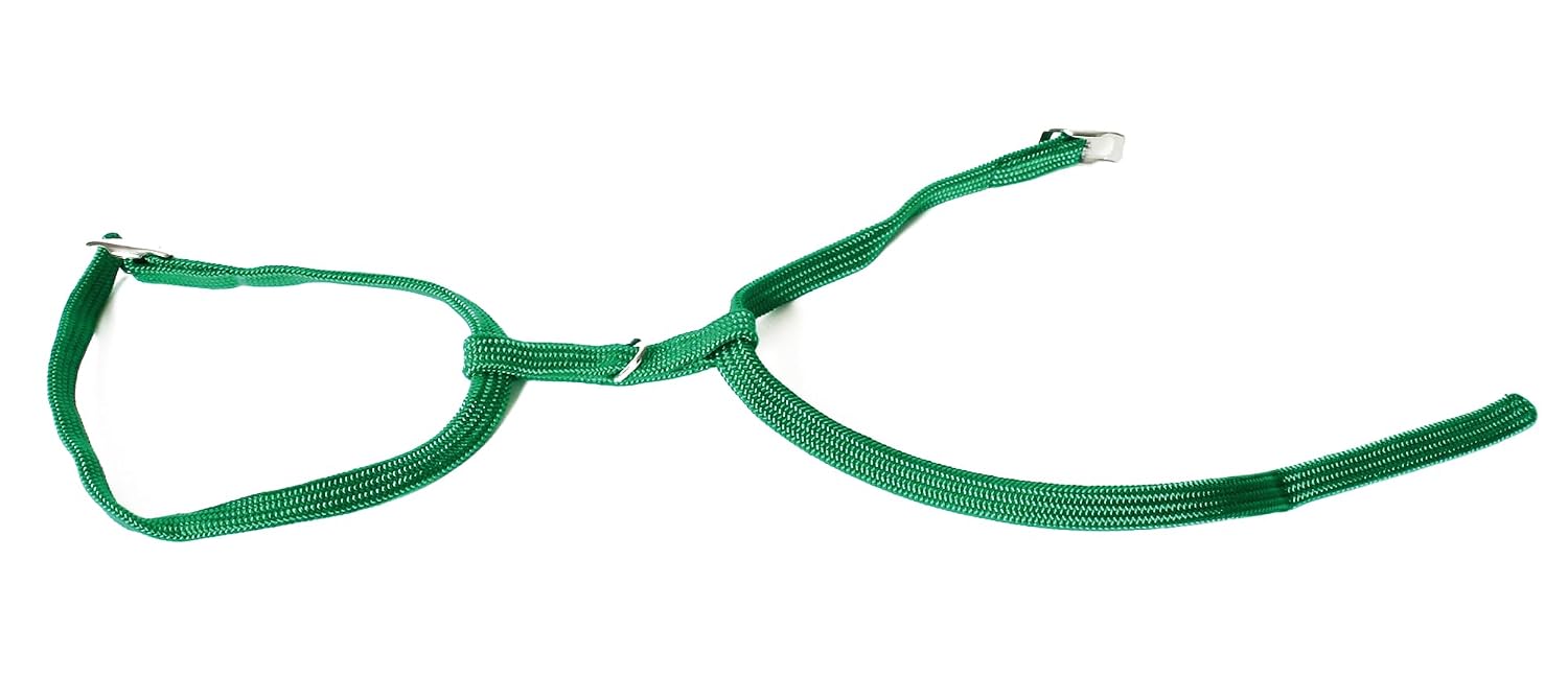 MARTIN — Harnais en H en nylon tubulaire pour chat
