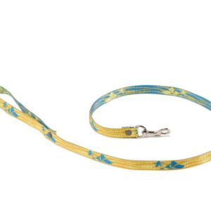 ALTEREGO — Laisse S 15 mm bleu lagon