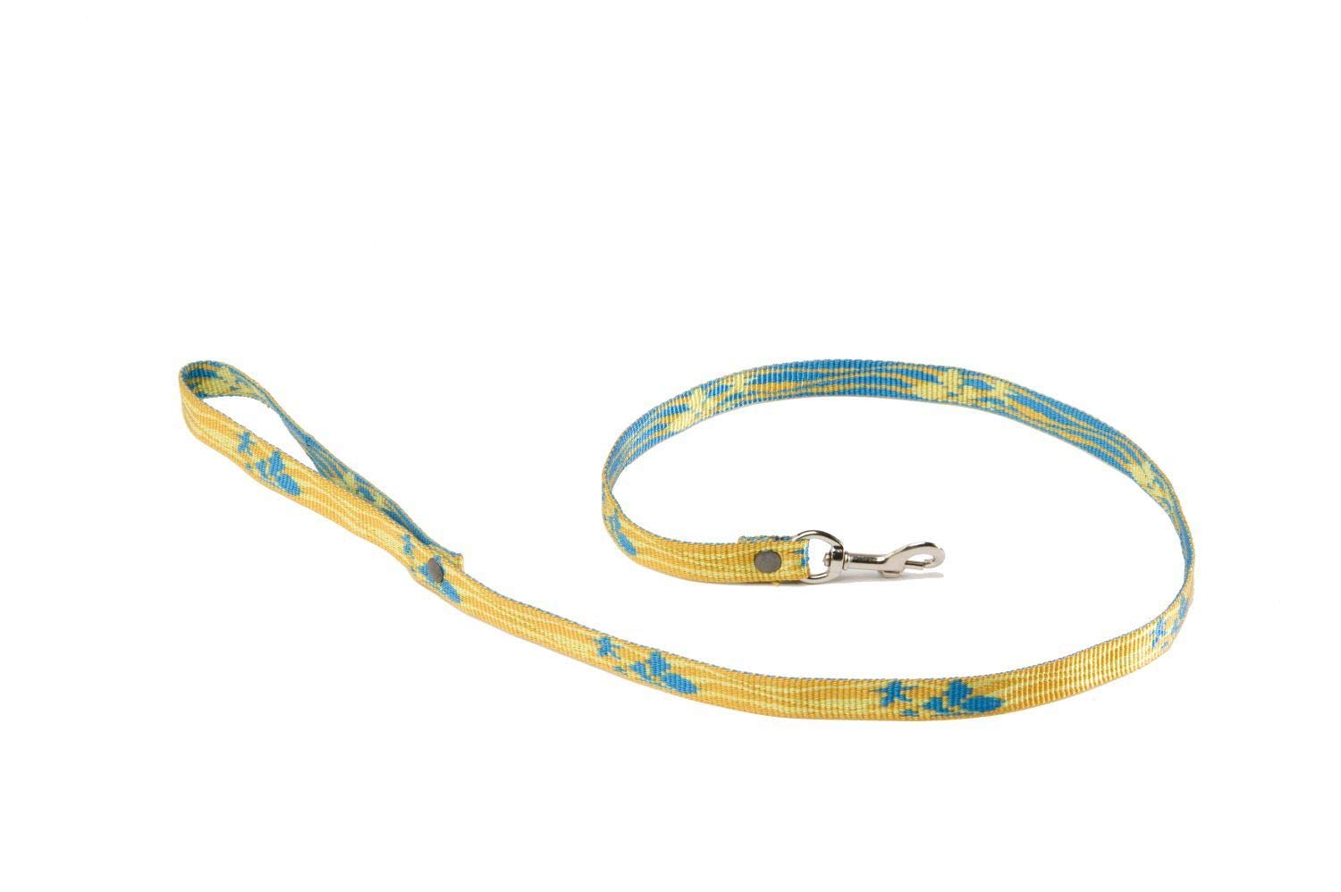 ALTEREGO — Laisse S 15 mm bleu lagon
